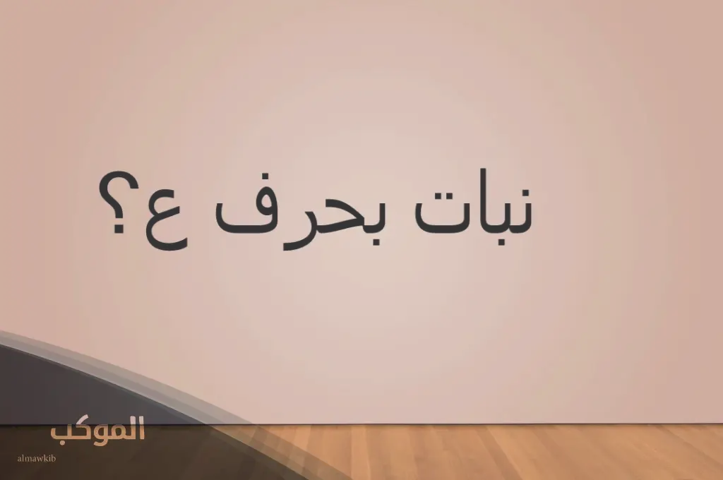 5 اسماء نبات بحرف العين ع ومعلومات غريبة عن نبات بحرف (ع) 5 أسماء نباتات زينة بحرف العين ع