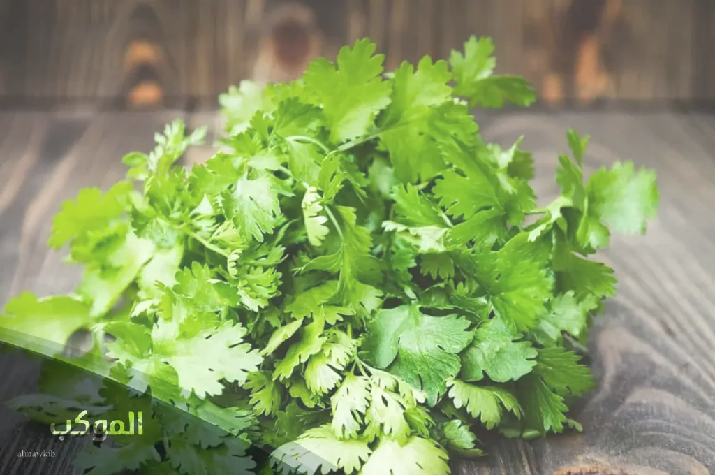 أسماء نباتات تبدأ بحرف الكاف