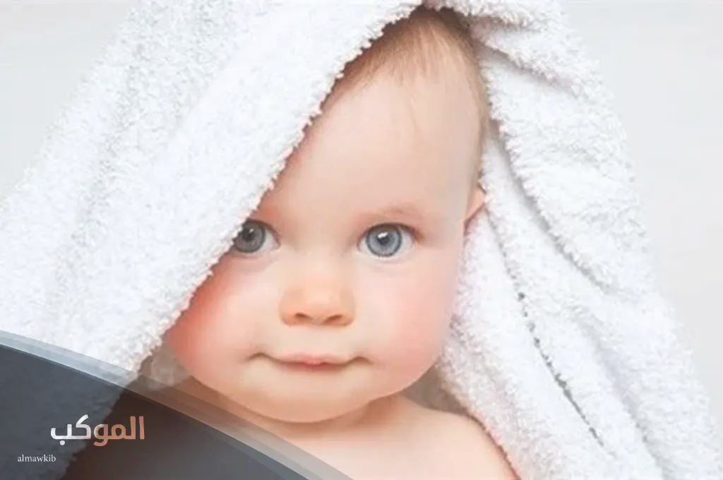 الموكب فريم 2 2