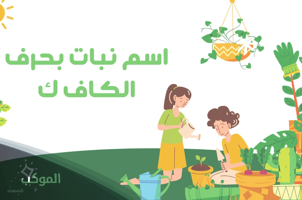 الموكب فريم 2 3