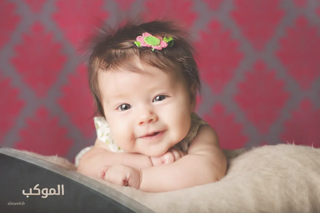 الموكب فريم 2 4