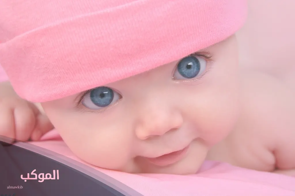 الموكب فريم 3