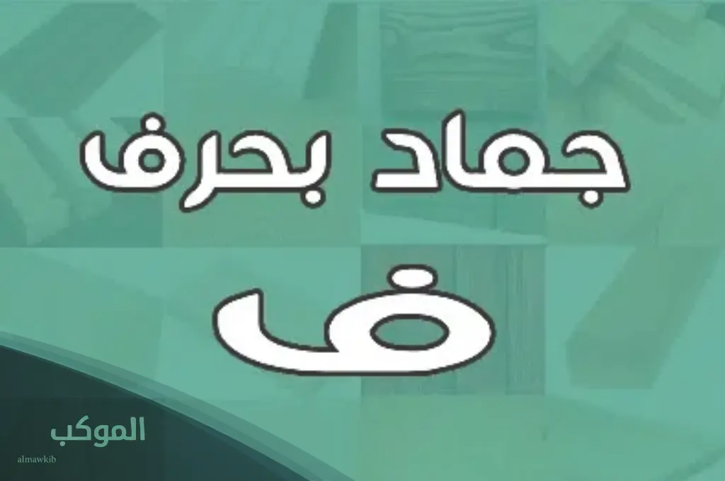 الموكب فريم 8 5