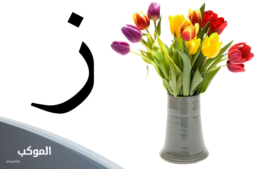 جماد بحرف الزين | اسم 11 جماد يبدأ بحرف الزاي (ز) 5 أشياء جماد بحرف الزين من خمس حروف