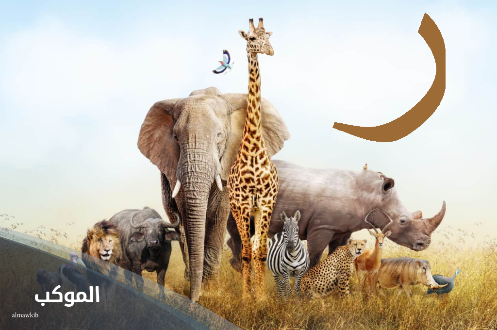 حيوان بحرف ر ساعدني