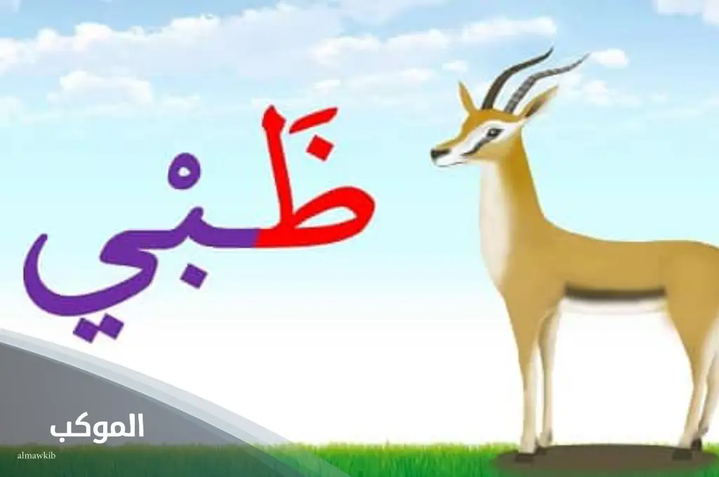 5 حيوان بحرف ظ (الظاء) من 3 حروف 6 تعرف على حيوان بحرف ظ