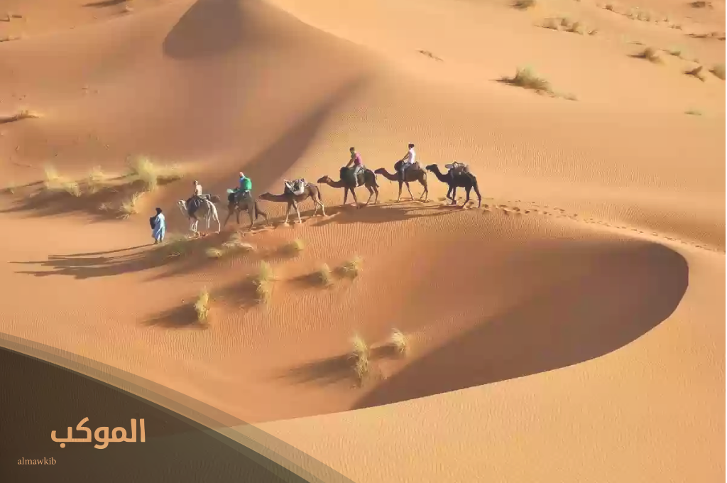 ما رمز عائلة بني تميم