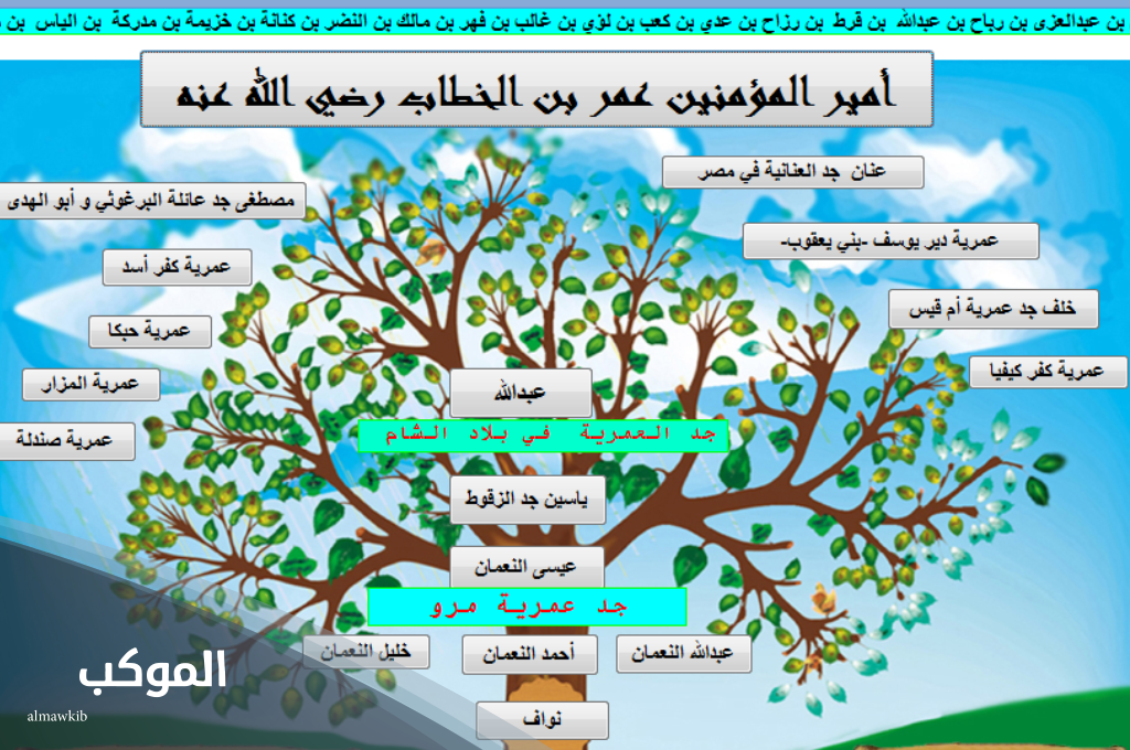 العمري وش يرجع.. أصل ونسب قبيلة العمري وأهم فروعهم 6 شجرة عائلة العمري