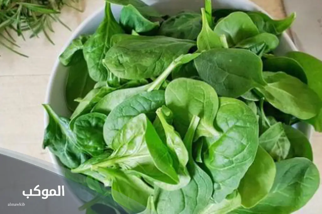 نبات بحرف السين مميز 