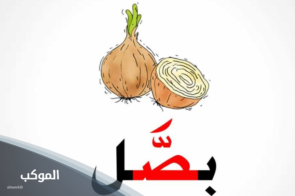 اسم نبات صحراوي يبدأ بحرف الصاد