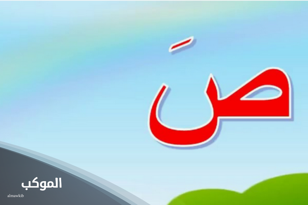 اسم نبات بحرف الصاد من 4 حروف