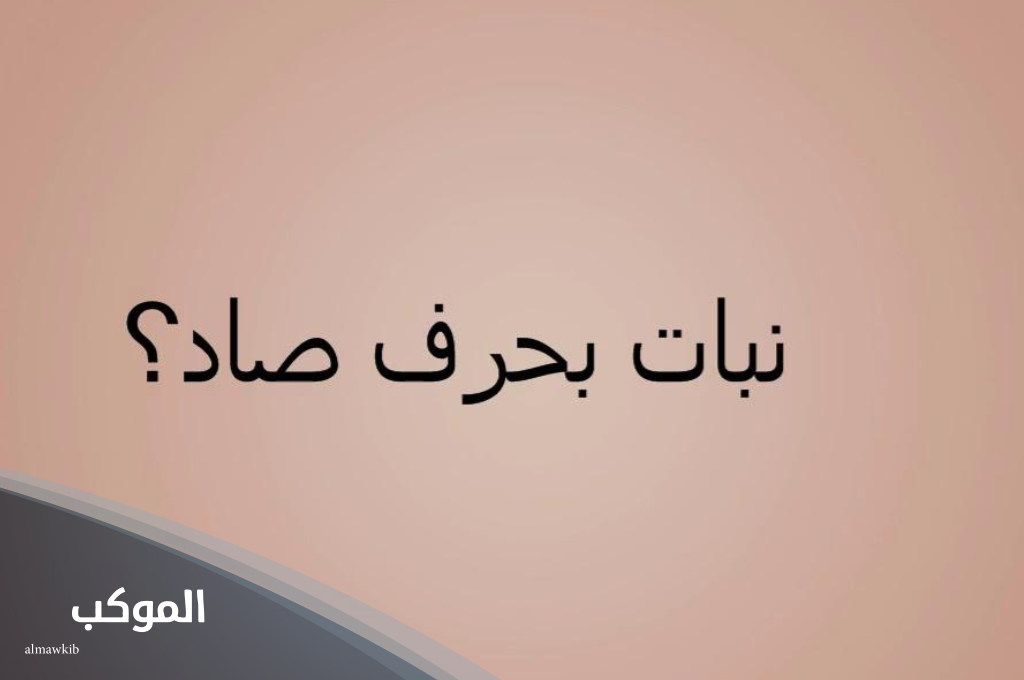 نبات بحرف الصاد