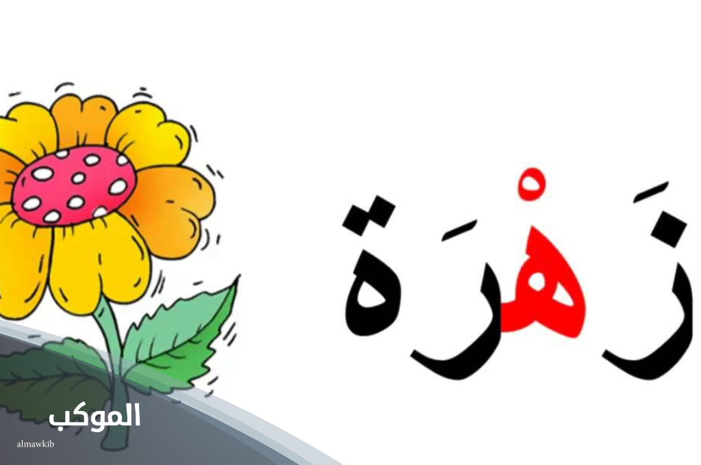 اسم نبات بحرف الهاء (هـ) 6 فاكهة بحرف الهاء في مصر