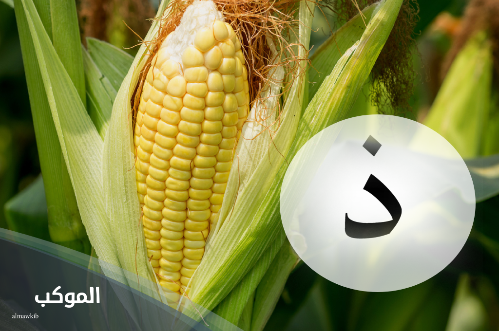 تعرف على نبات بحرف ذ