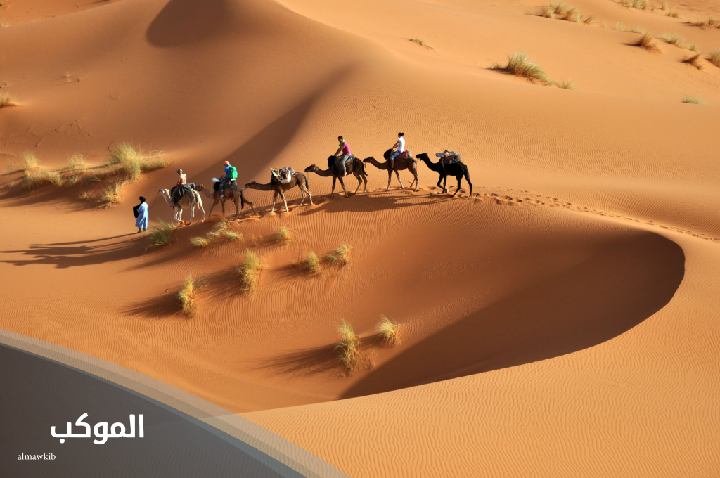 502 رمز قبيلة الدواسر