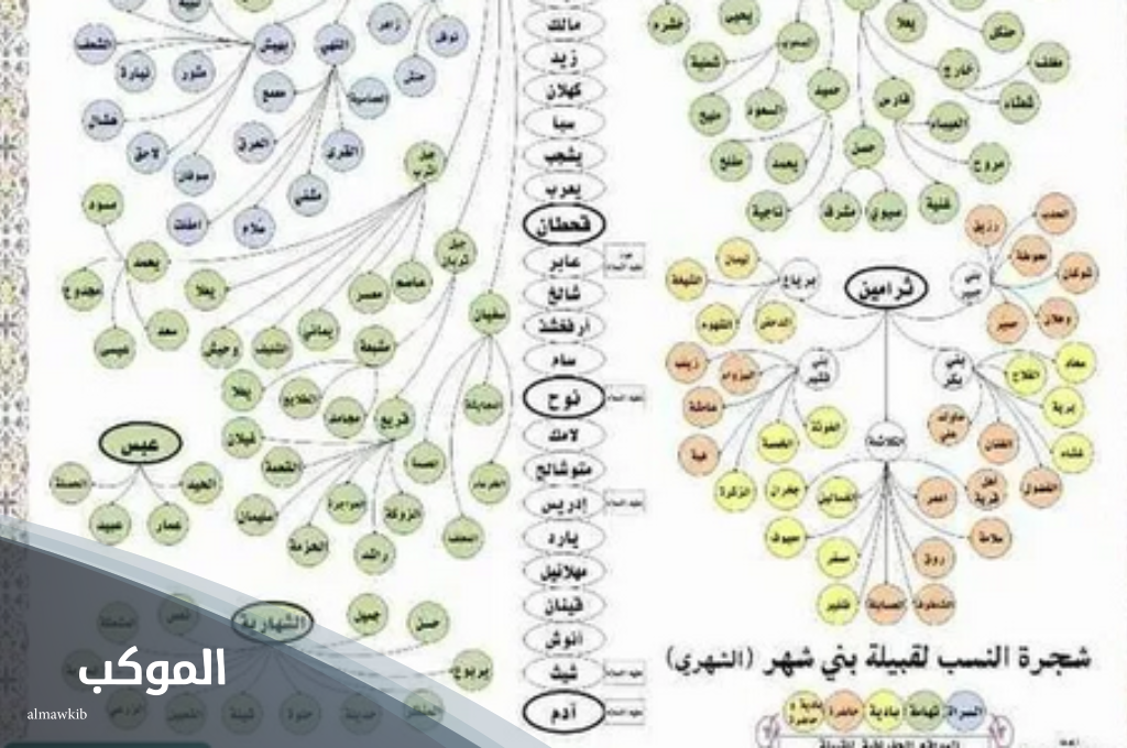 شجرة قبيلة بني شهر