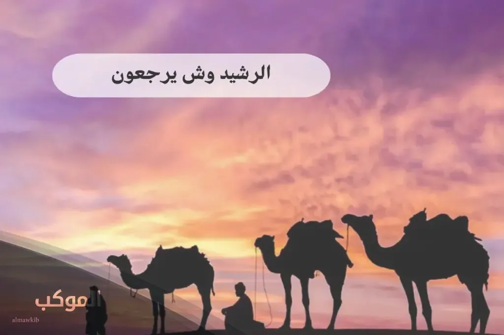 IMG 20240803 174947 611.jpg