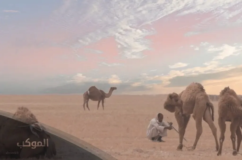 المعيوف وش يرجع.. ما نسب عائلة المعيوف وعدد أفرادها 5 أصل عائلة المعيوف من وين