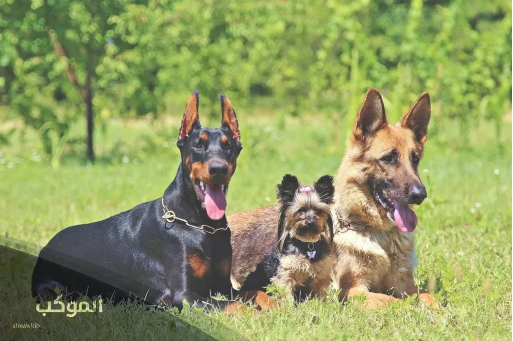 IMG 20240803 174952 518