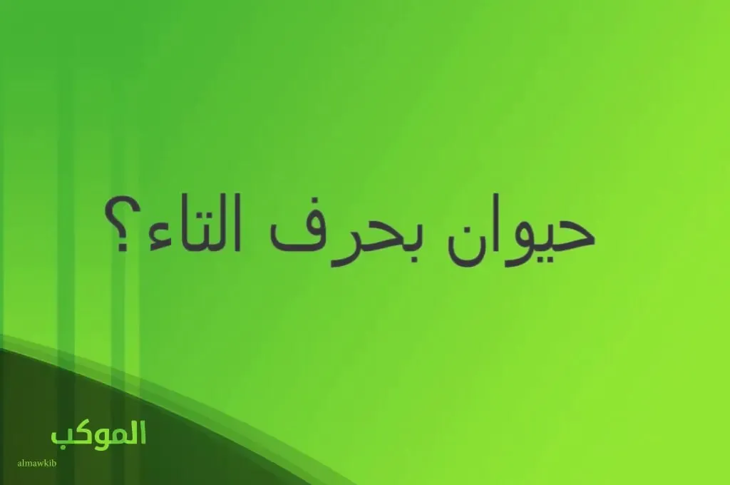 IMG 20240803 175001 063