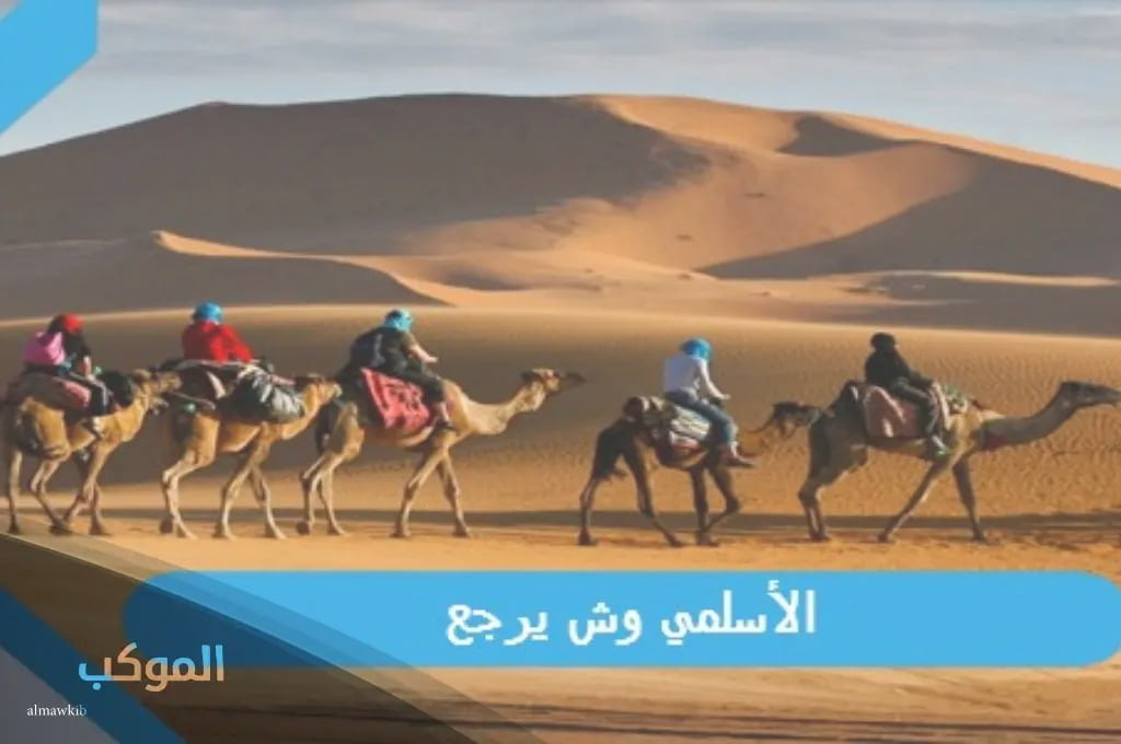 IMG 20240803 175001 288