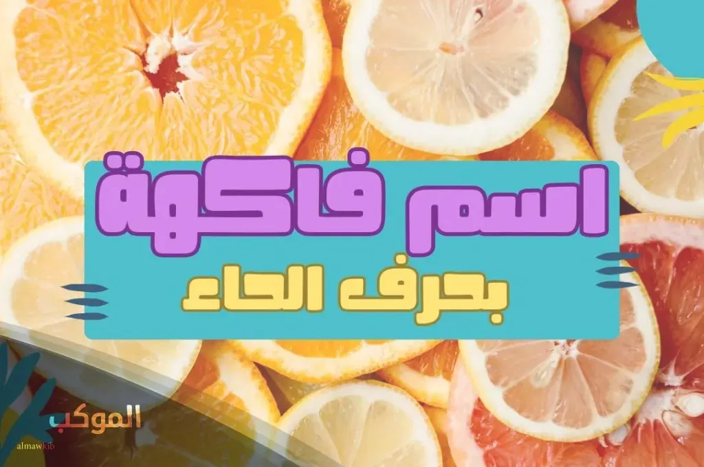 IMG 20240805 164443 100.jpg