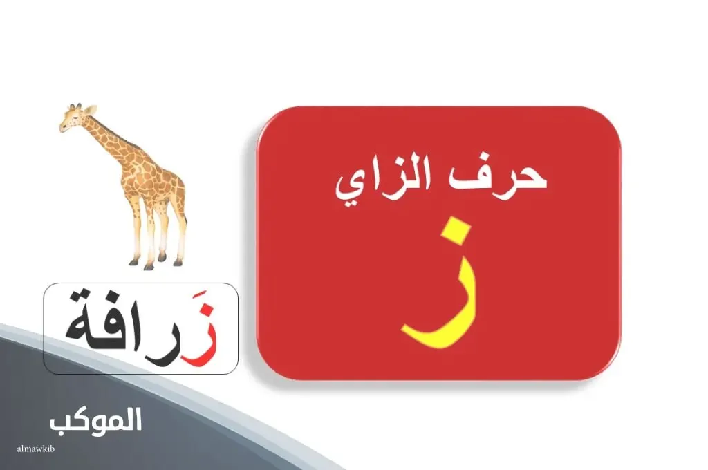 IMG 20240806 211826 950.jpg