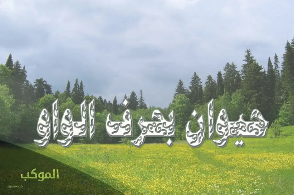 IMG 20240806 211827 111.jpg 1