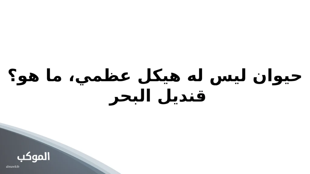 أسئلة عامة واجوبتها