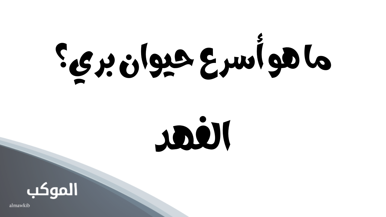 أسئلة عامة متنوعة.. أبرز 10 أسئلة مع أجوبتها 6 اسئلة عامة للاطفال