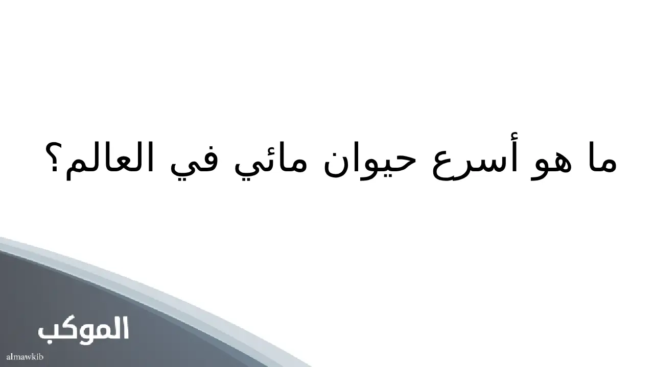 أسئلة صعبة وأجوبتها سهلة