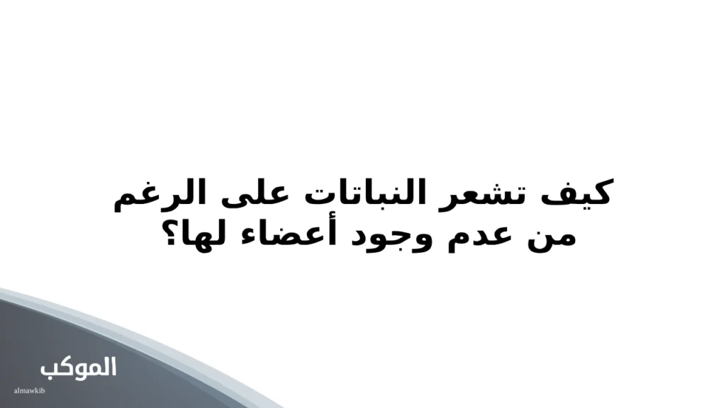 أسئلة فلسفية محيرة.. أغرب 10 أسئلة فلسفية حيرت العلماء 5 أسئلة فلسفية محيرة