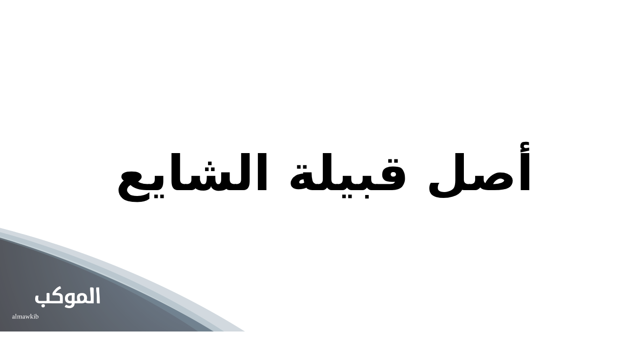 أصل قبيلة الشايع