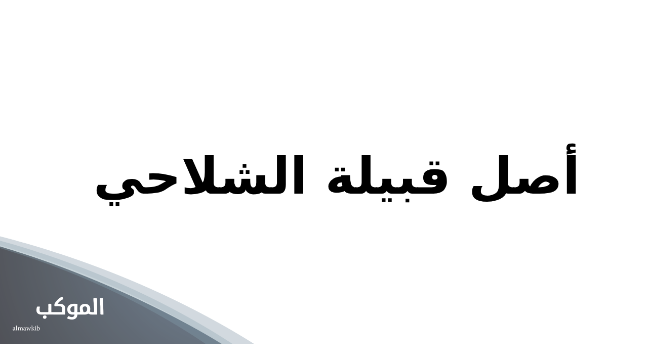 أصل قبيلة الشلاحي