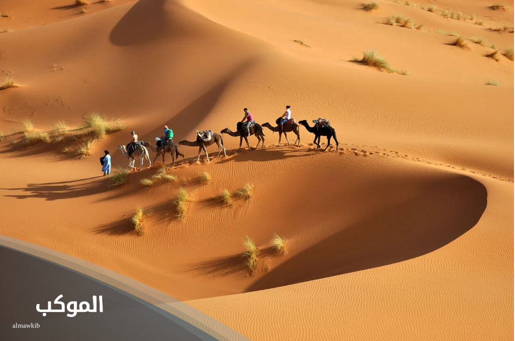 أين تقع قبيلة السلمي 