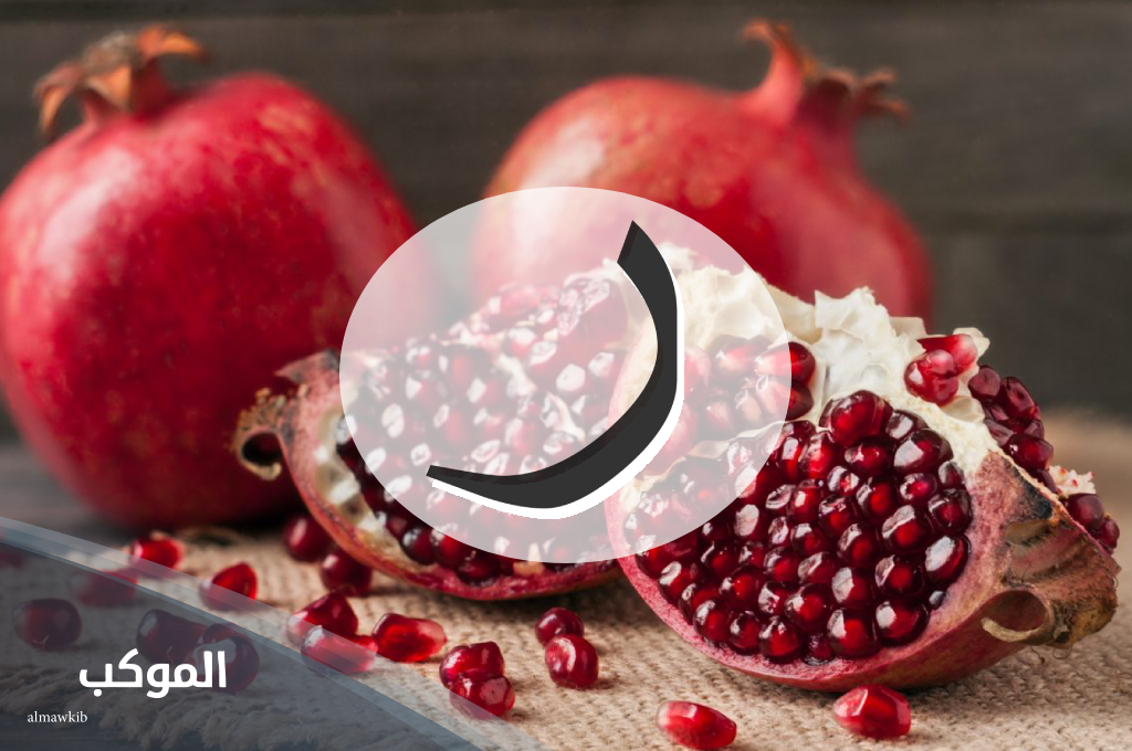 اسم نبات بحرف الراء