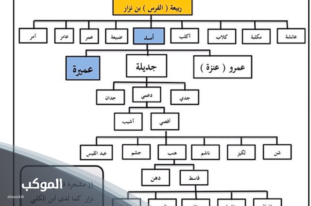 الاكلبي وش يرجع .. أصل عائلة الأكلبي من وين 6 شجرة قبيلة أكلب