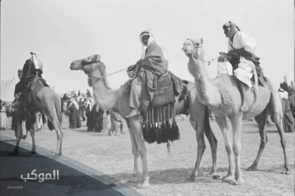 نسب عائلة البشيري 