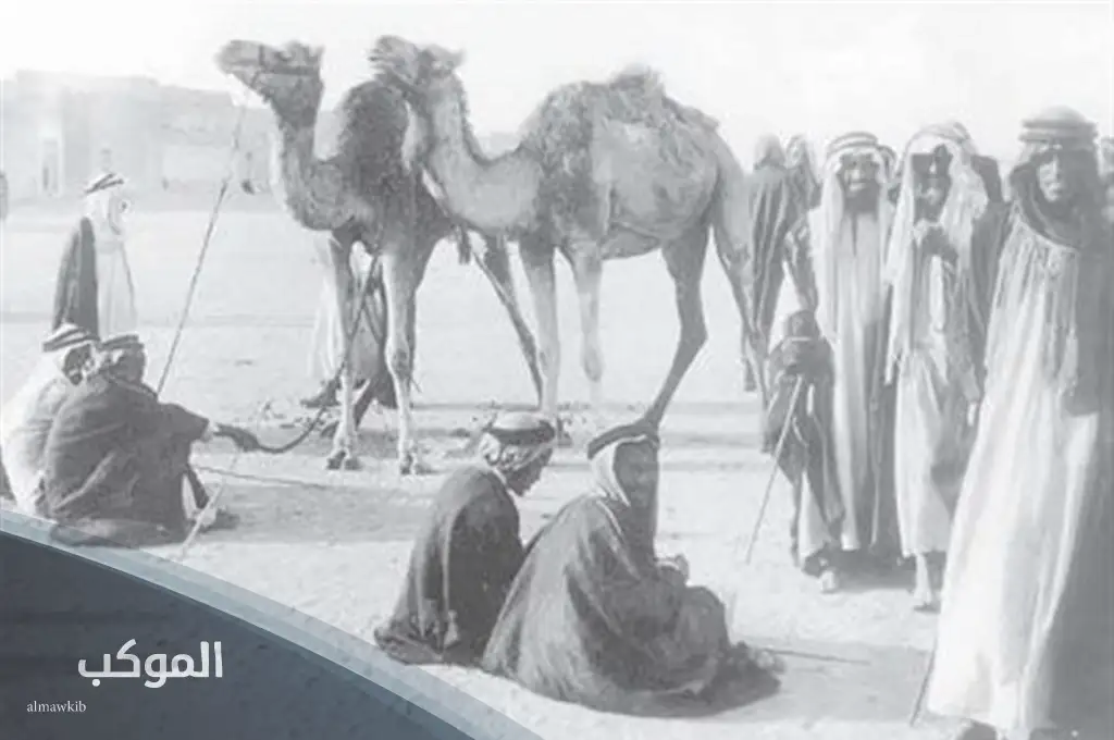 تاريخ البلوش