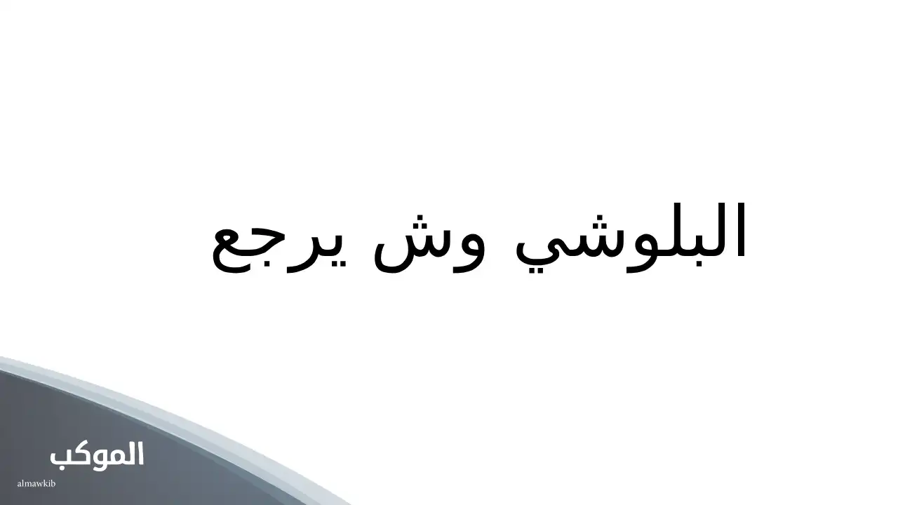 فروع قبيلة البلوشي