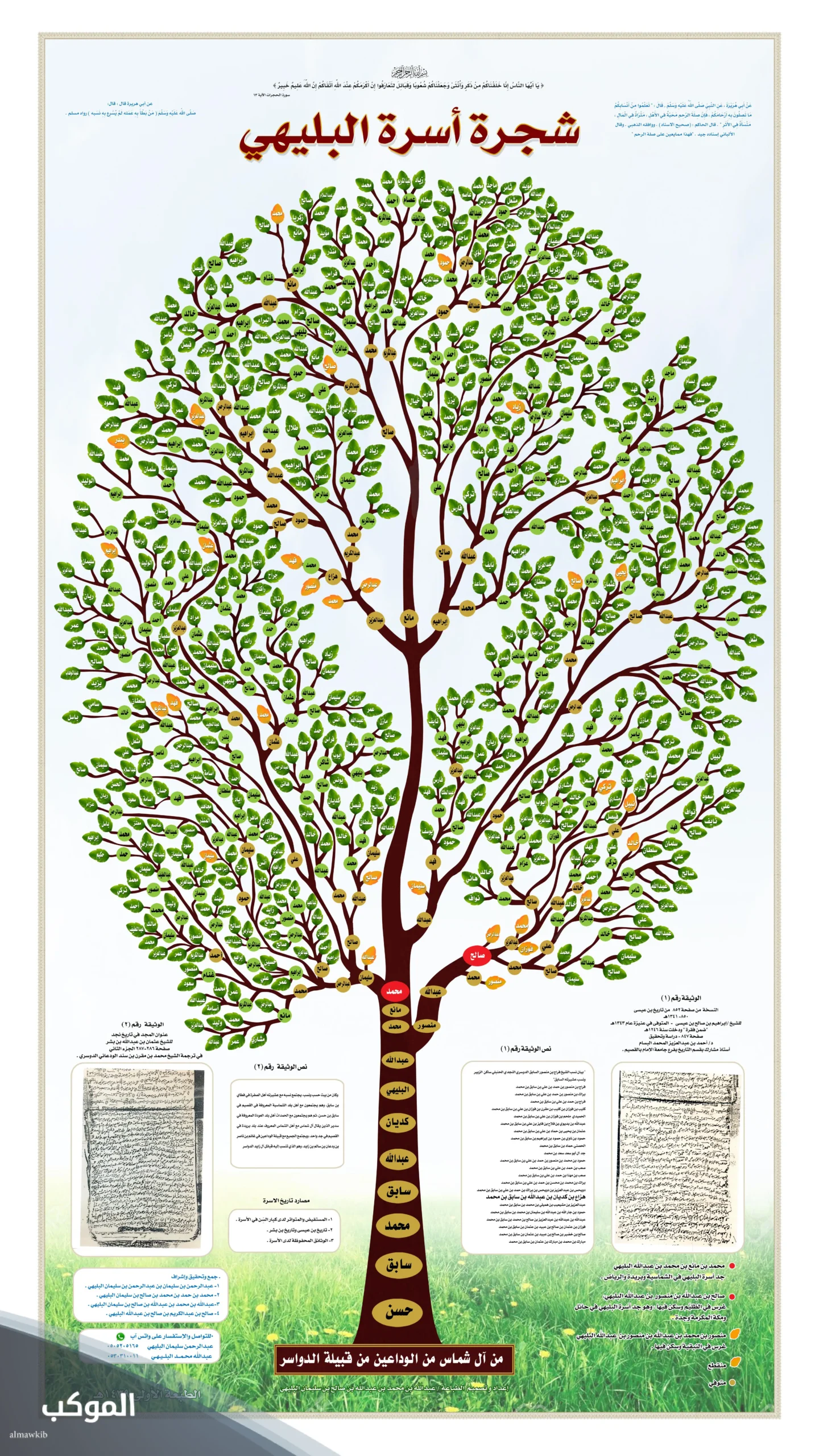 شجرة قبيلة البليهي