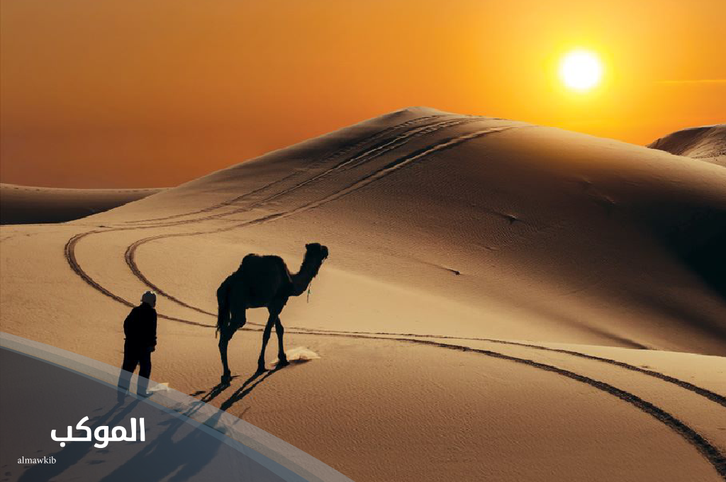 البناقي وش يرجع