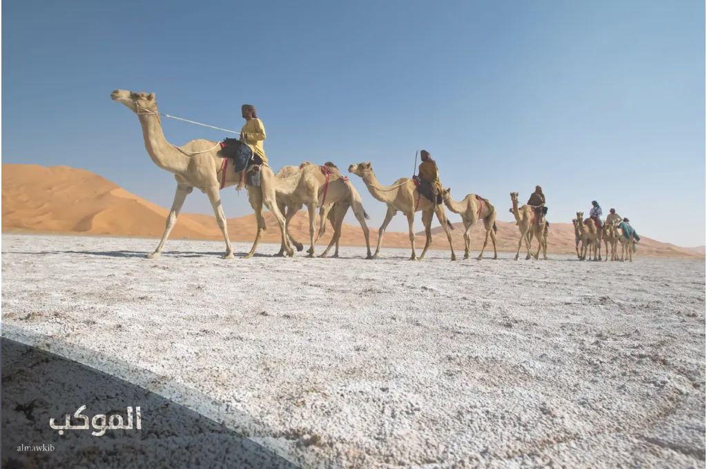 التويجري وش يرجعون