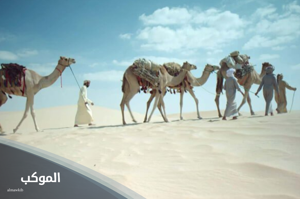 الثمالي وش يرجع.. فروع عائلة الثمالي ونسبها 6 نسب عائلة الثمالي