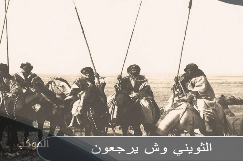 أصل عائلة الثويني