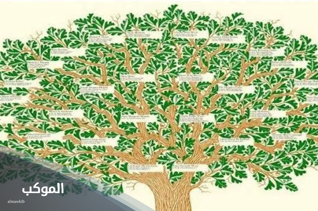 الجطيلي وش يرجعون.. ما نسب قبيلة الجطيلي 6 شجرة عائلة الجطيلي