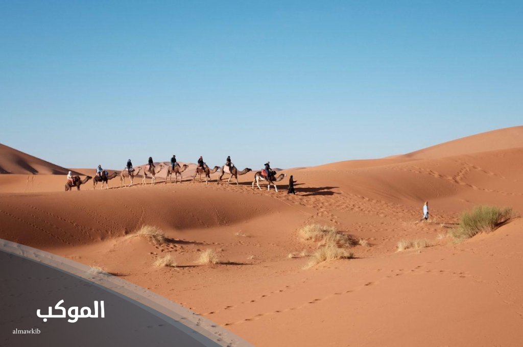 الجميعي وش ترجع