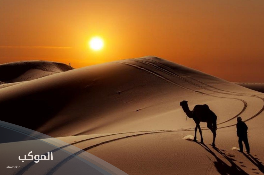 الجهني وش يرجع 1