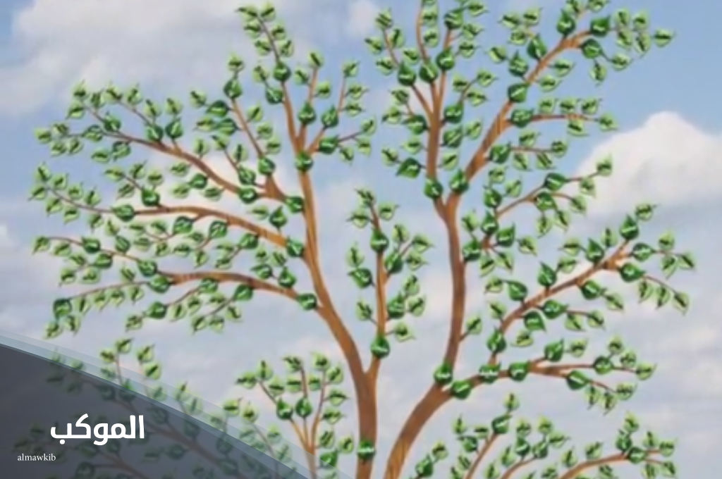 الحذيفي وش يرجع.. نسب وشجرة عائلة الحذيفي 6 شجرة عائلة الحذيفي