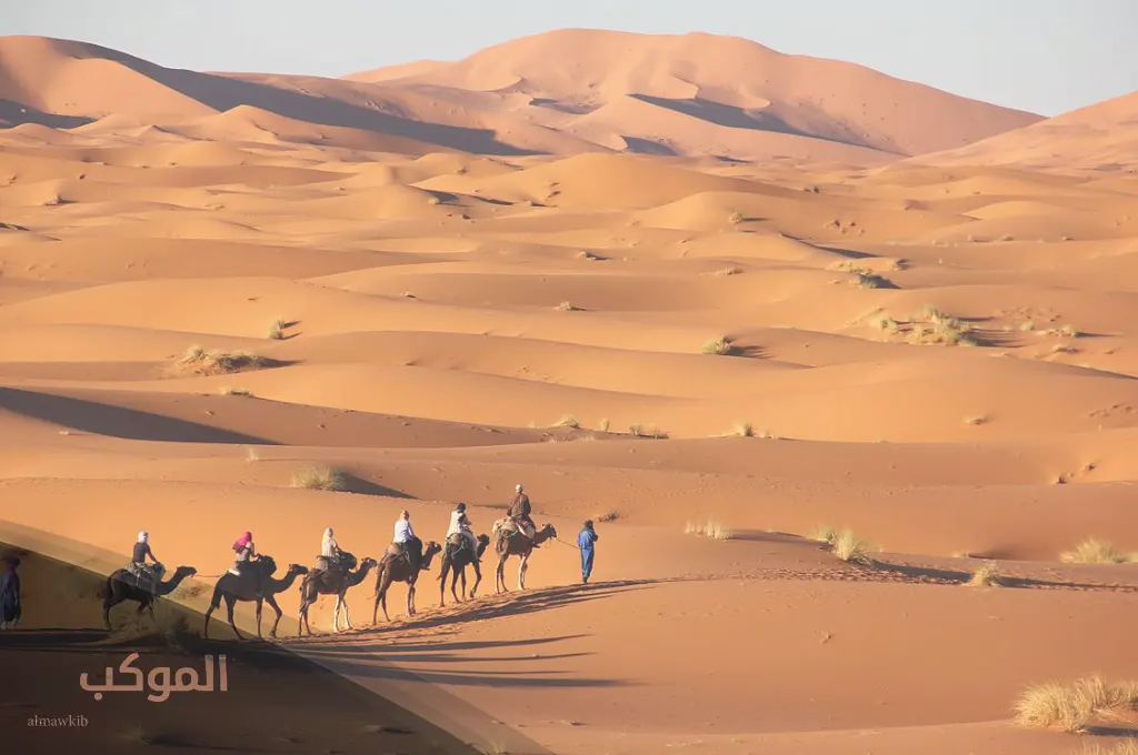 فروع عائلة الحسيني